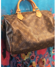 LOUIS VUITTON | 母親が使ってないから勝手に使ってる😁✌(ハンドバッグ)