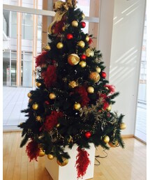 ツリー✨ | その他