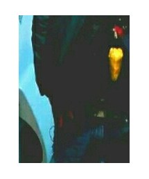 Columbia | ボディバッグ/ウエストポーチ