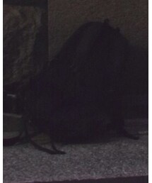 Columbia | バックパック/リュック