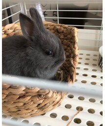 ᕱ⑅︎ᕱ | その他