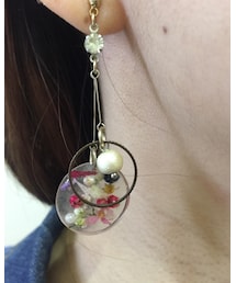 不明 | ピアス(両耳用)