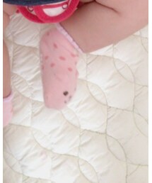 BRANSHES | ソックス/靴下