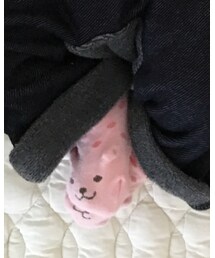 BRANSHES | ソックス/靴下