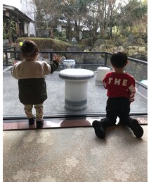 THE NORTH FACE | ブーツ