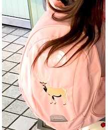 THE NORTH FACE | バックパック/リュック