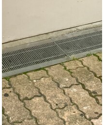 Reebok | スニーカー
