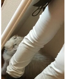 UNIQLO | その他パンツ