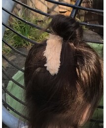 セリア | ヘアピン
