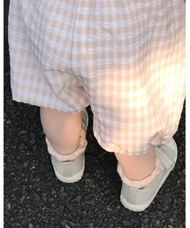 Birthday | ソックス/靴下