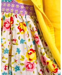 jelly the pug | ワンピース