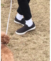 UNIQLO | スニーカー