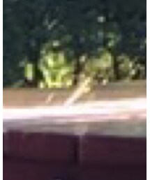 カマキリ | その他