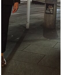 Tabio | ソックス/靴下