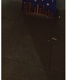 BAG'n'NOUN | バッグ