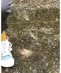 ZARA KIDS | スニーカー