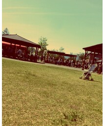 ピクニック② | その他