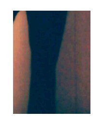 adidas | デニムパンツ