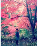 🍁の「その他(その他)」