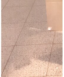 Dr. Martens | ブーツ