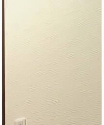 BOTTEGA VENETA | サングラス