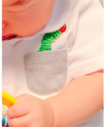 ERIC CARLE | ポロシャツ