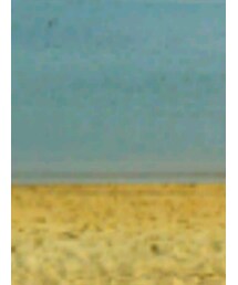 西松屋 | Tシャツ/カットソー