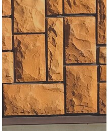 BNT | その他トップス