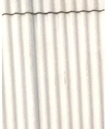 Elephant Blanc | シャツ/ブラウス