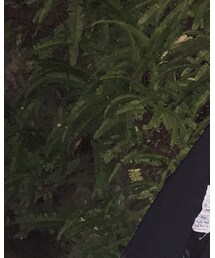 takeiteasy | パーカー