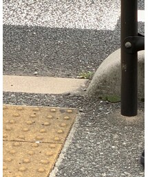 Jordan | スニーカー