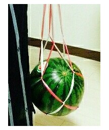 すいか | その他
