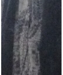 Ann DEMEULEMEESTER | トップス