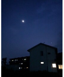 髪ボサボサ分け目きもい | その他