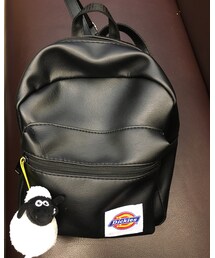 Dickies | miniのオマケ(ショルダーバッグ)