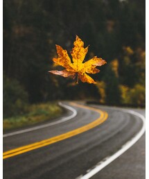 G-STAR | デニムパンツ