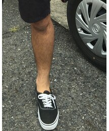 VANS | スニーカー