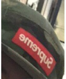 Supreme  | Supreme x Wildlife Society Snapback(ハット)