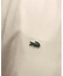 LACOSTE | Lacoste Basic White Tee(Tシャツ/カットソー)