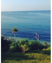 沖縄☼ | その他