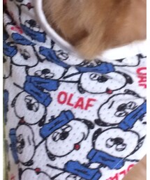 ペットパラダイス | オールインワン・サロペット