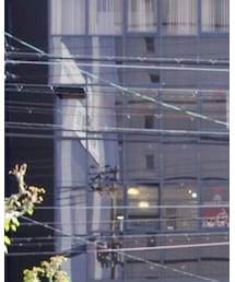 堀江☆Collection | その他