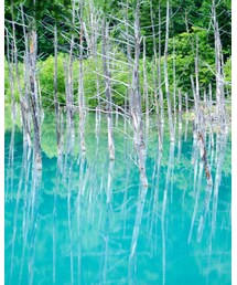 青い池 | その他