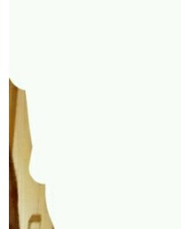 ADAM ET ROPE' | トップス