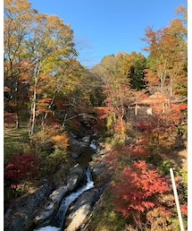 紅葉🍁 | その他