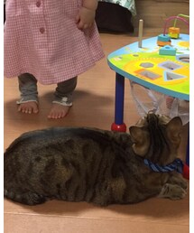 Souris | レギンス/スパッツ