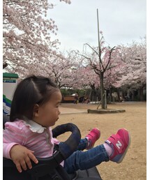 歩きたい | その他