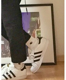 Champion | ソックス/靴下