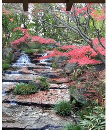 ギリギリの🍁 | その他