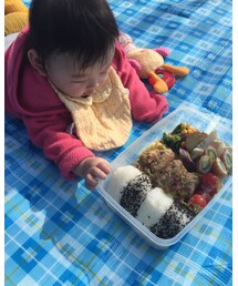 お弁当に興味津々？！ | その他